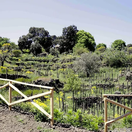 Etnella Enoagriturismo Notti Stellate Montargano